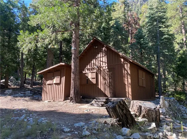 9520 Falls Rd, Forest Falls, CA 92339