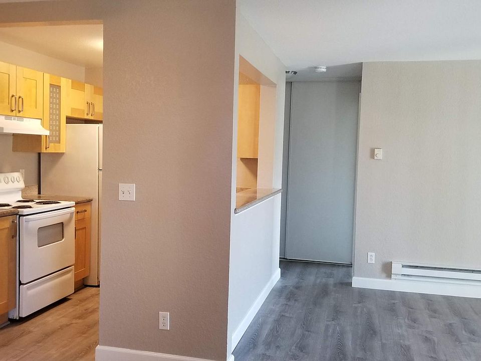 Kitchen/Living Room View