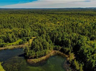 LOT 13 Blue Waters Rd LOT 13, Forestport, NY 13338