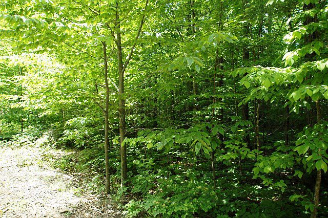 1st image of LOT 9 Bay Shore Woods Ln #Egg