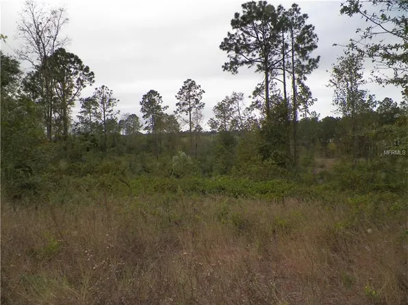 455 County Rd, Clermont, FL 34711