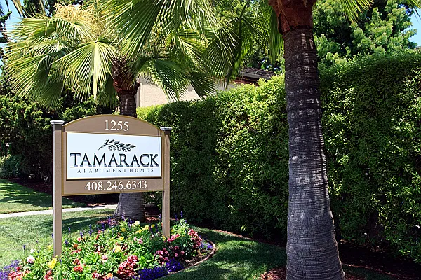 Tamarack Apartment Homes — Photo 12