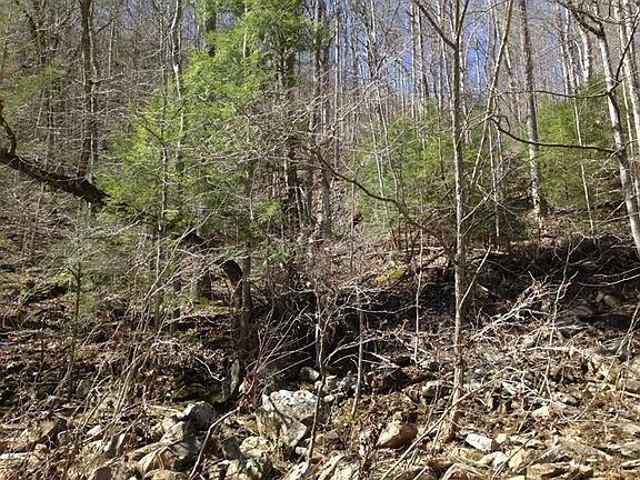 2nd image of LOT 398 E Obey Ln