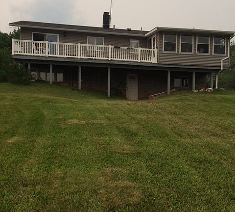 View from the back yard