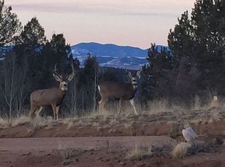 1002 May Queen Dr, Cripple Creek, CO 80813