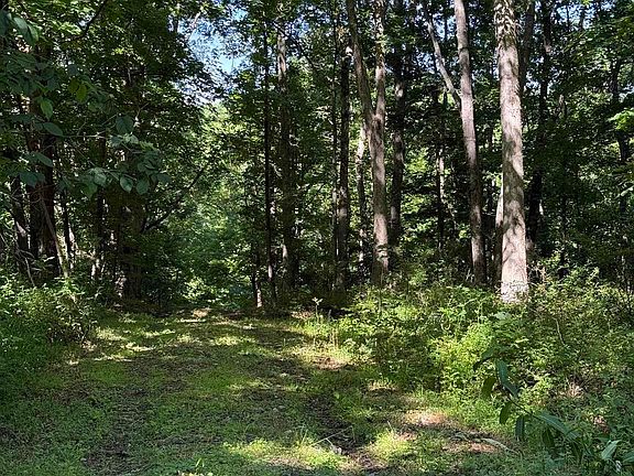 5th image of Suds Run Rd
