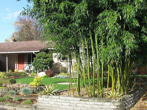 4th image of 8442 NE 140th St