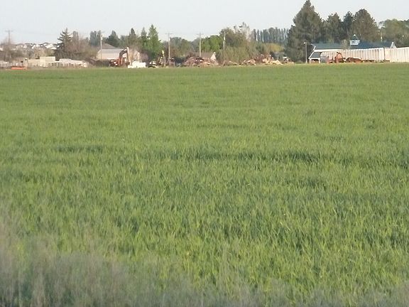 3rd image of O Nna Westshore Dr