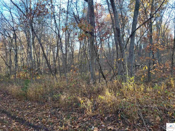 Le Grelle Pl, Edwards, MO 65326