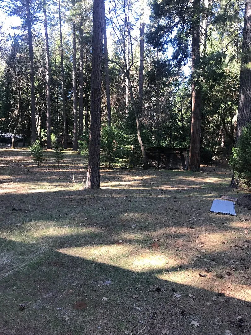 Lower Pioneer Home — Photo 2