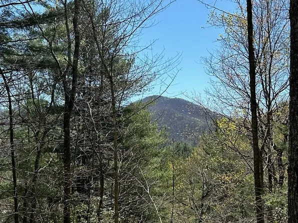 Lots 4&5 White Oak Forest Rd, Hiawassee, GA 30546