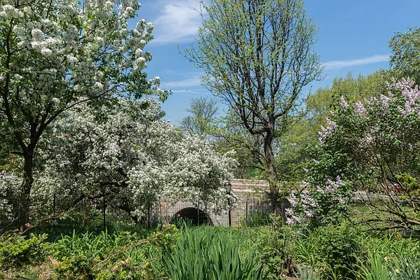 Rented by Sky Management | media 79