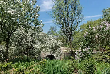 Rented by Sky Management