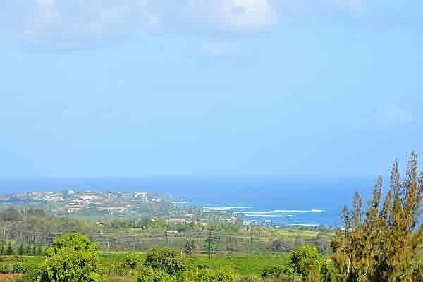 2nd image of Kaena St Lot 21