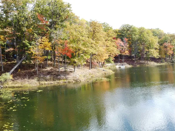 5391 Jack Morris Dr, West Branch, MI 48661