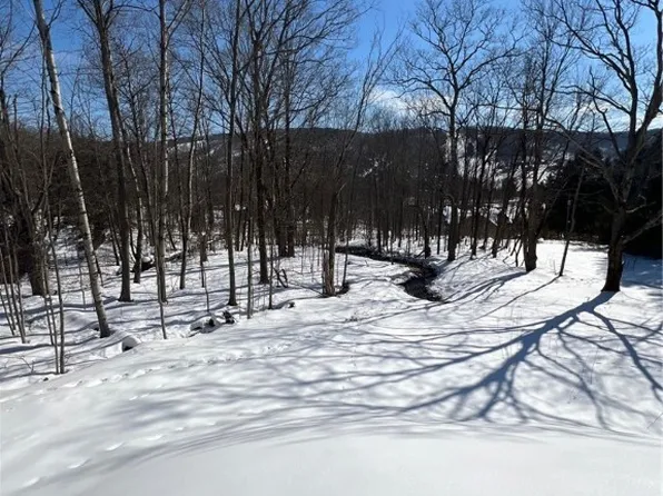 6887 Niles Rd #28, Ellicottville, NY 14731