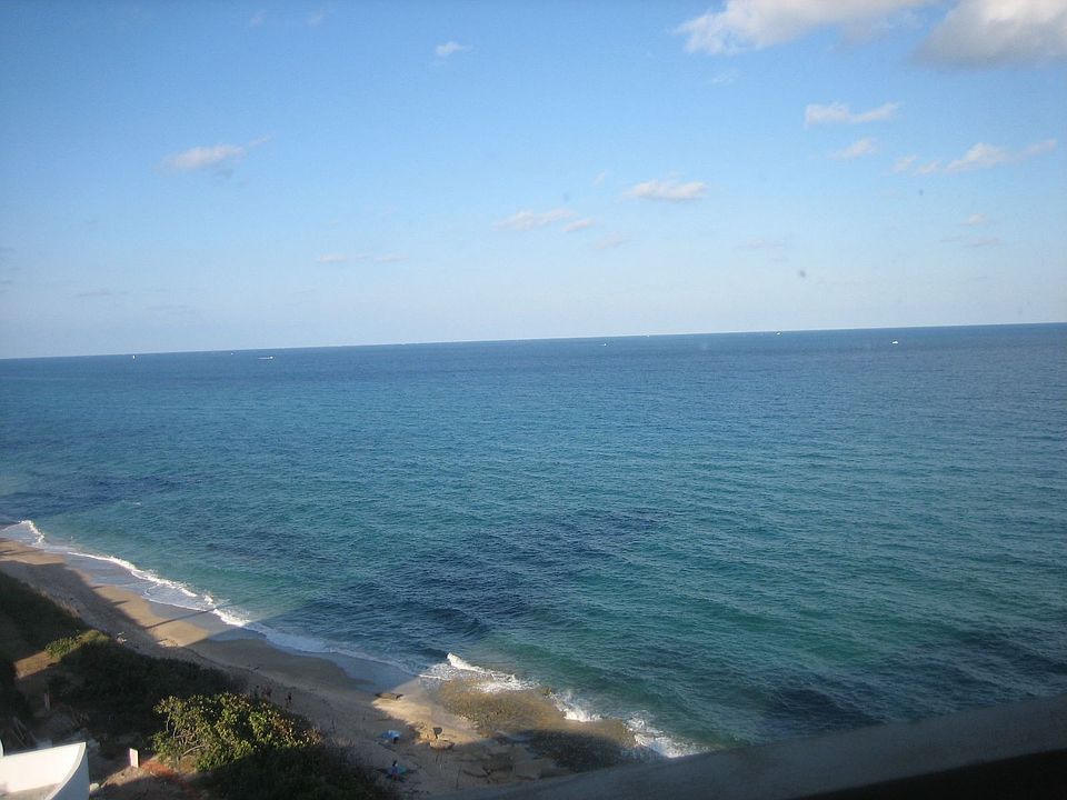 My view