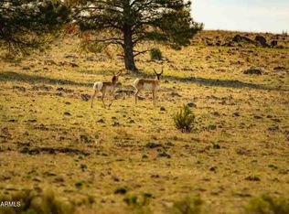 3633 Sunset Ridge Loop LOT 166, Happy Jack, AZ 86024