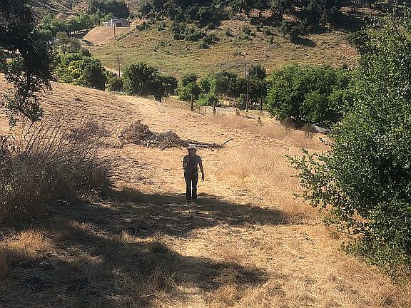 Hiking/biking/riding trails