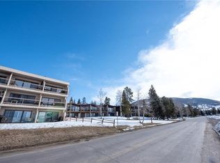 311 W La Bonte St #202, Dillon, CO 80435