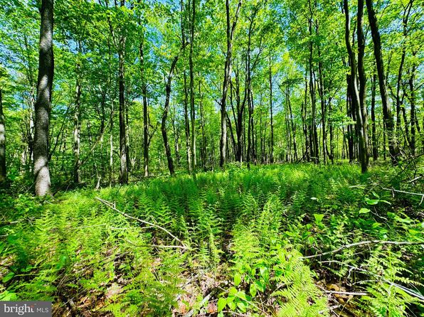 LOT 36 Paradise Rd, James Creek, PA 16657