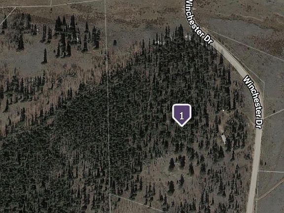 4th image of 1245 Winchester Drive