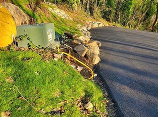 170 Merwin Village Rd, Ariel, WA 98603