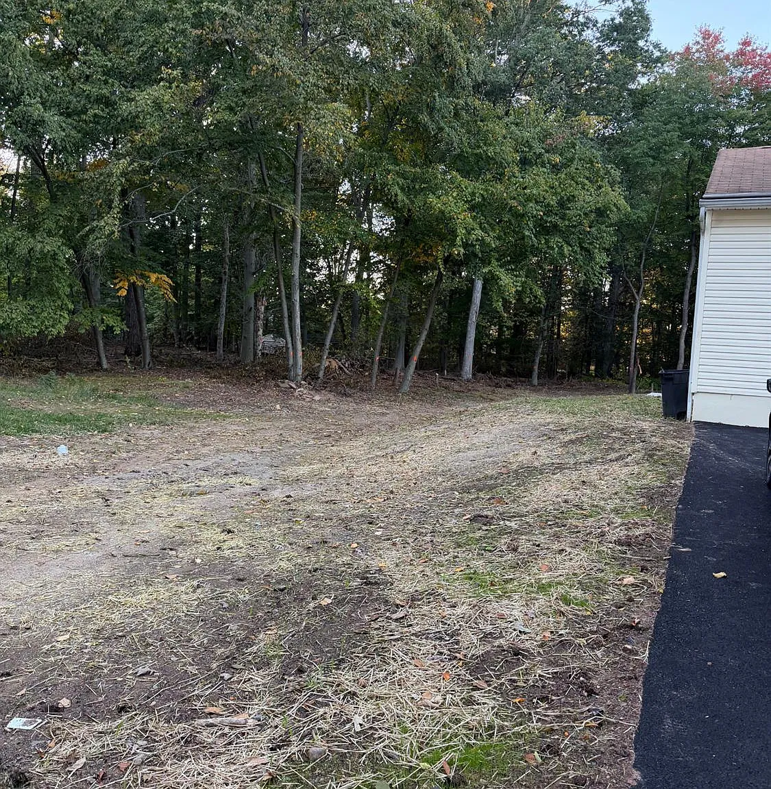 3 bed, 2.0 bath, 1240 sqft, $3,600 — Photo 4