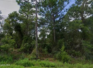 11272 Gallinule Ave, Brooksville, FL 34613