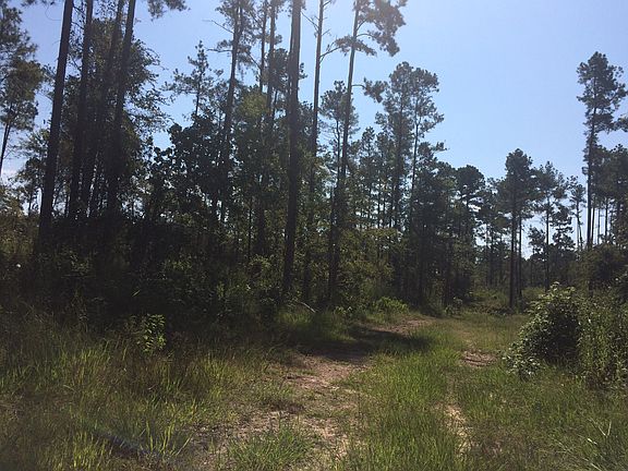 4th image of 120 Acres Fig Ln