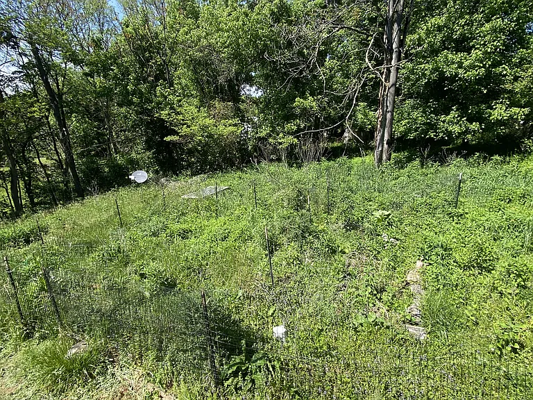 75 Briar Trl — Photo 15