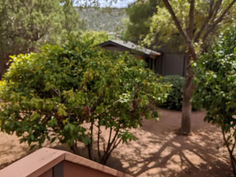 Independent back yard entrance