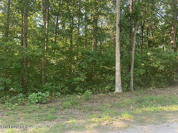 4th image of 459 Evening Shade Ln