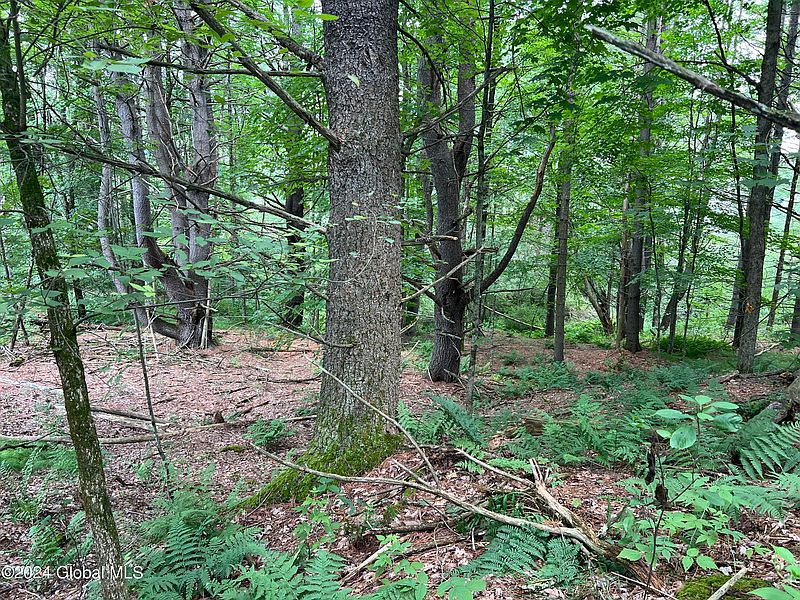 5th image of L7.1 NY-22A