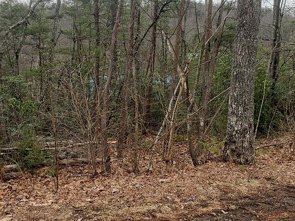 2nd image of 551 Sky View Dr Lot 551