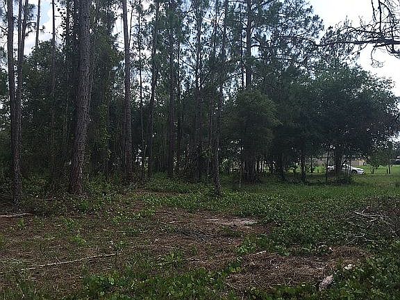 5th image of Winter Haven Dr
