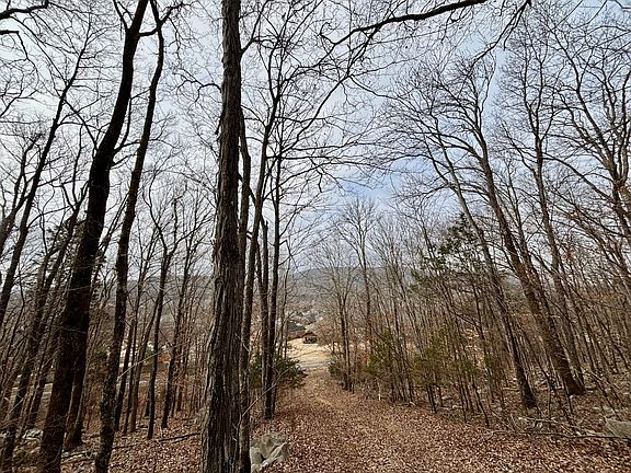 3rd image of 1941 Little Cove Rd