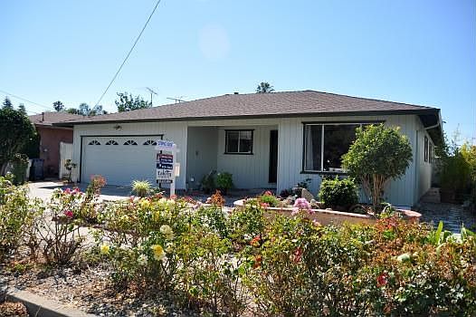 beautiful front yard