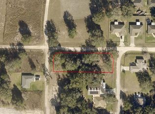 SW 101st St LOT 1, Dunnellon, FL 34432