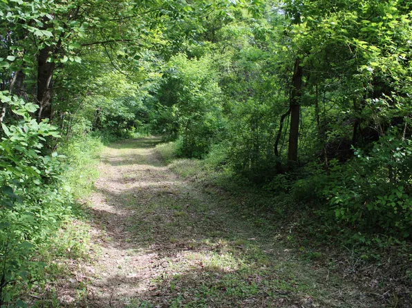 3131 Old Otis Road, Danby, VT 05739