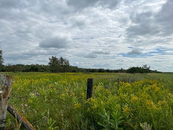 Deer Delight: Meadow Area from NE Corner of SE4 SW4 Lkg SE'ly