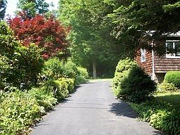 2nd image of 542 Tranquility Dr