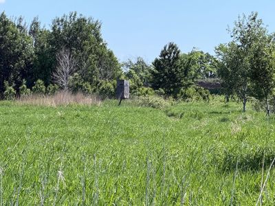 16698 130th St, Foreston, MN, 56330