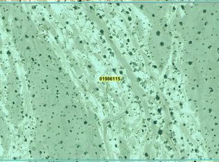 2902 Falcon Rd, Amargosa Valley, NV 89020