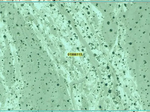 2902 Falcon Rd, Amargosa Valley, NV 89020