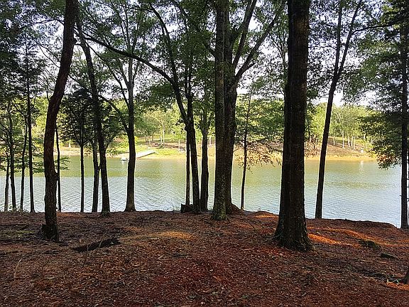 4th image of Waterside On Douglas Lake 124