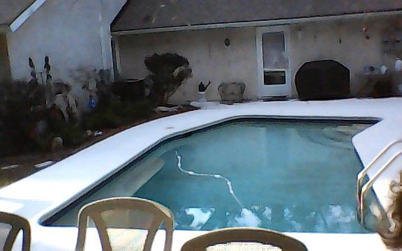 Back yard 