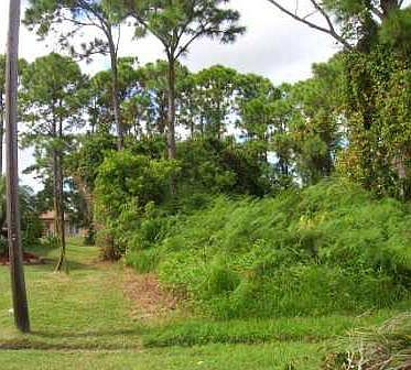 2nd image of 1253 SE Palm Beach Road