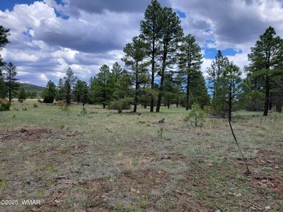 Dynamite Rd, Lakeside, AZ, 85929