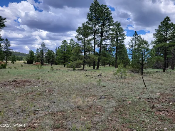 Dynamite Rd, Lakeside, AZ 85929